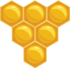 propolis propolis