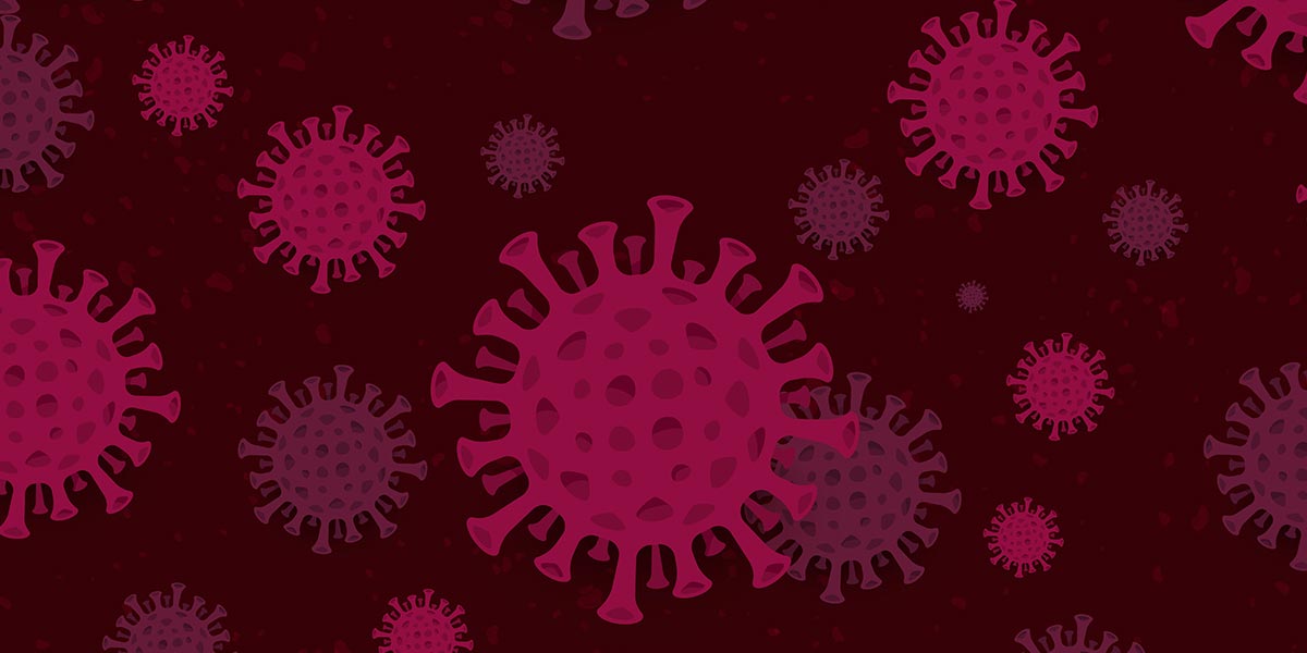 apipharm_propolis_virus